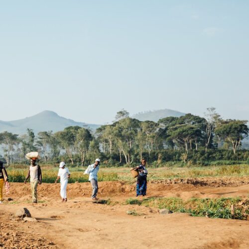 Good Neighbors Solve Irrigation Conflicts