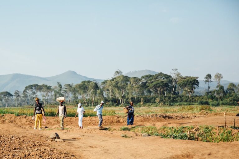 Good Neighbors Solve Irrigation Conflicts