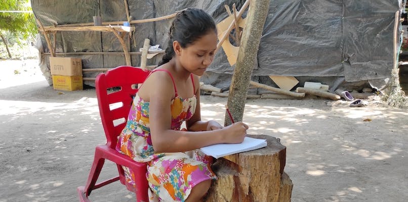Girl studying using tree stump as table