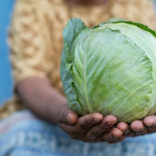 Woman holding cabbage